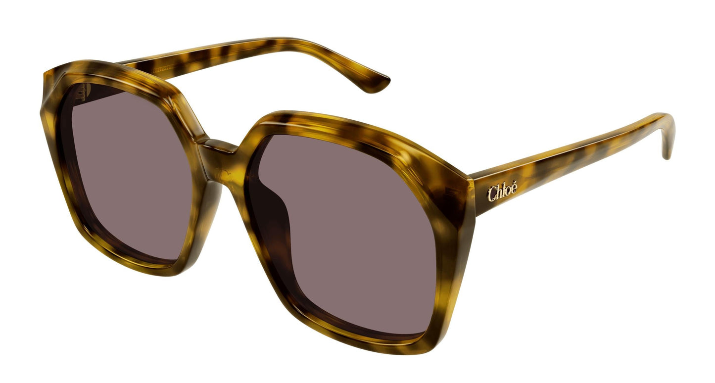 Chloé CH0280S 004 57