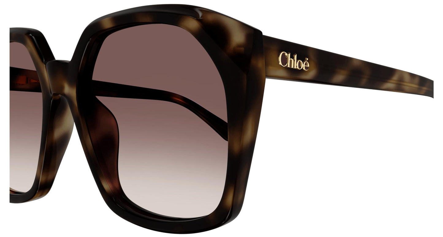Chloé CH0280S 006 57