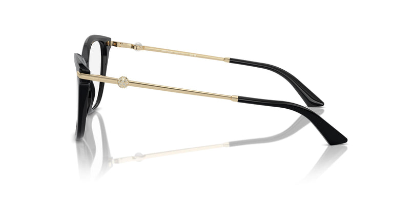 Jimmy Choo JC3007HB 5000 52