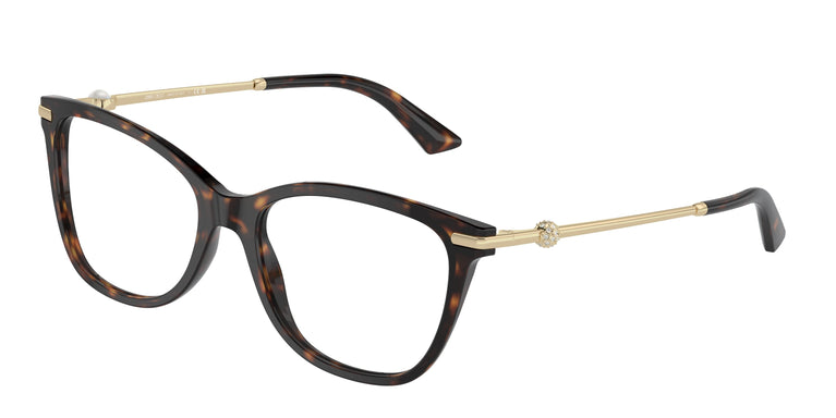 Jimmy Choo JC3007HB 5002 54