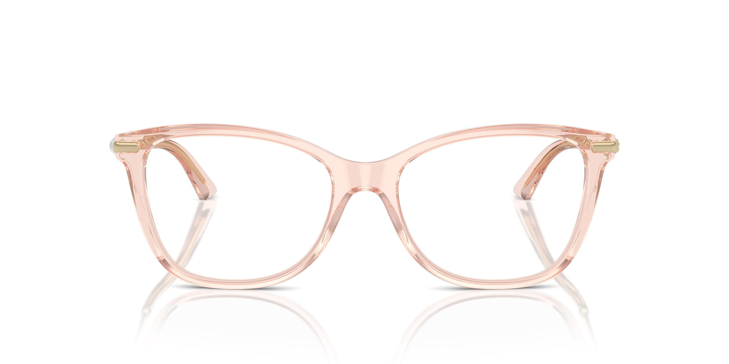 Jimmy Choo JC3007HB 5034 54