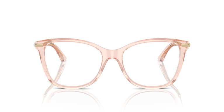 Jimmy Choo JC3007HB 5034 54