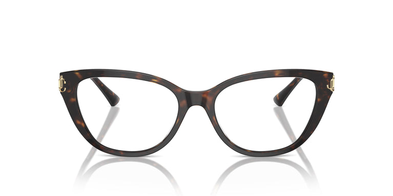Jimmy Choo JC3011 5002 54