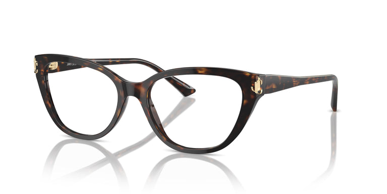 Jimmy Choo JC3011 5002 54