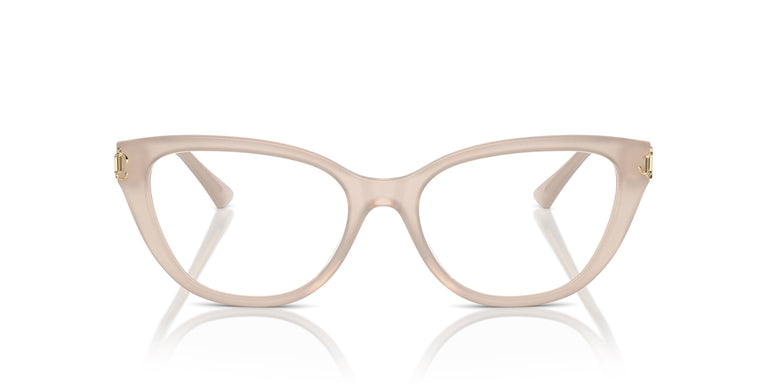 Jimmy Choo JC3011 5025 54