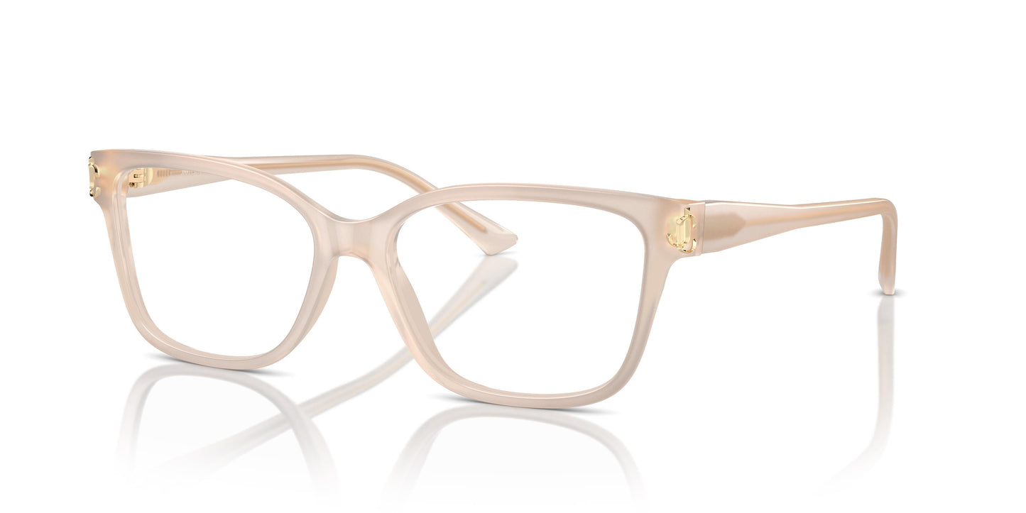 Jimmy Choo JC3012 5025 55