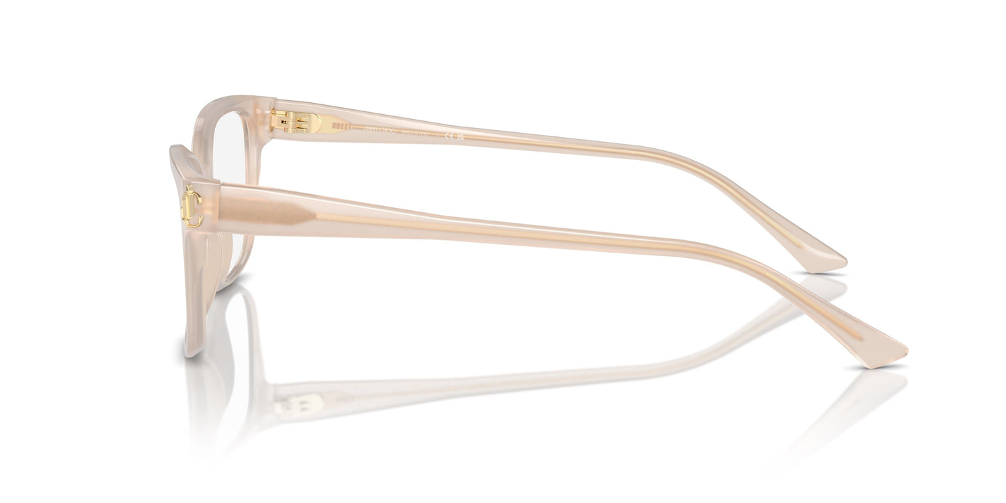 Jimmy Choo JC3012 5025 55