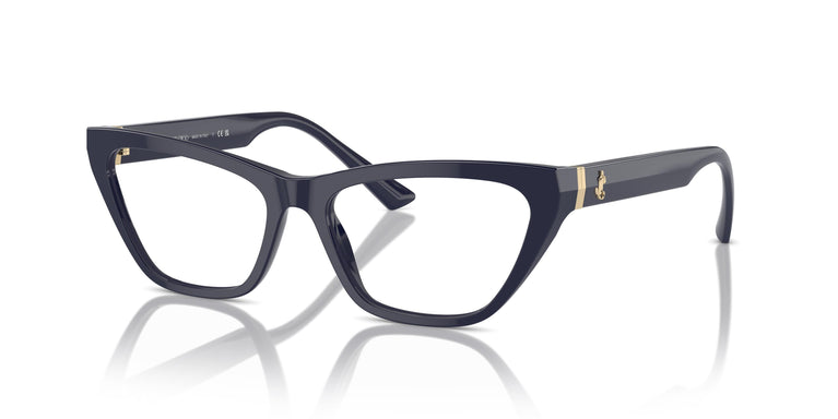 Jimmy Choo JC3014 5023 52
