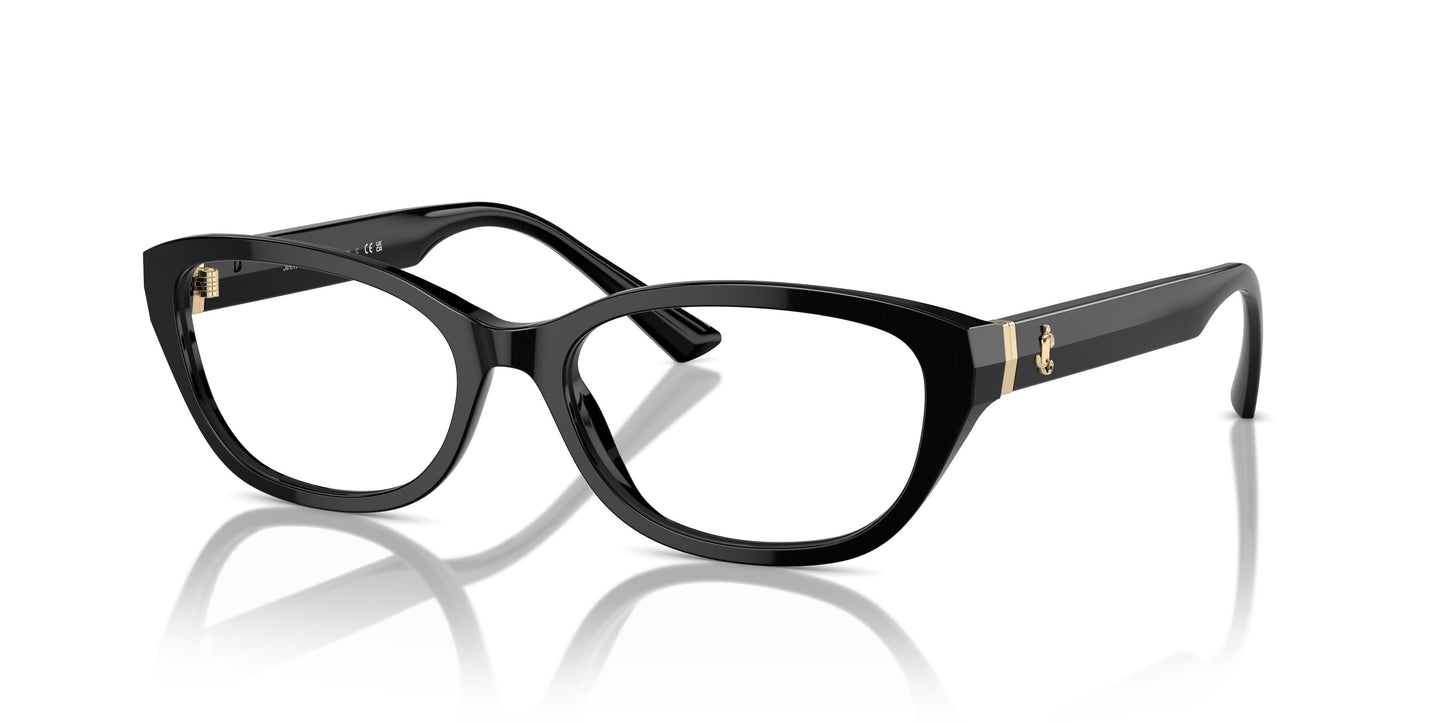 Jimmy Choo JC3015 5000 55