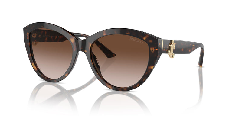Jimmy Choo JC5007 500213 55