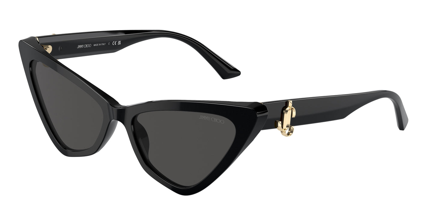 Jimmy Choo JC5008 500087 55