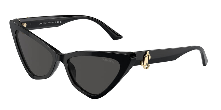 Jimmy Choo JC5008 500087 55