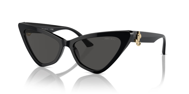 Jimmy Choo JC5008 500087 55