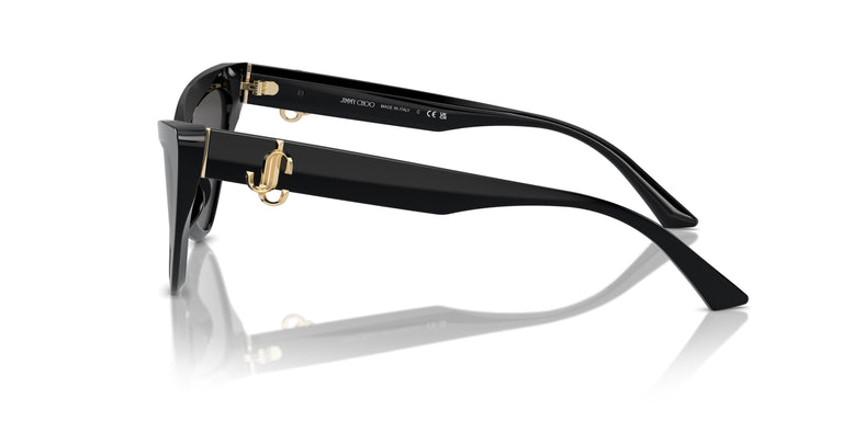 Jimmy Choo JC5008 500087 55