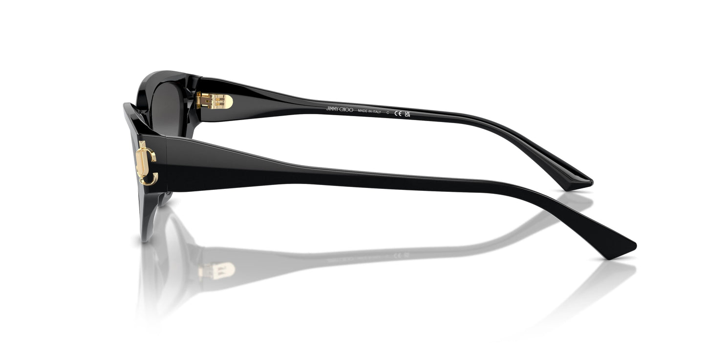 Jimmy Choo JC5019 50008G 55