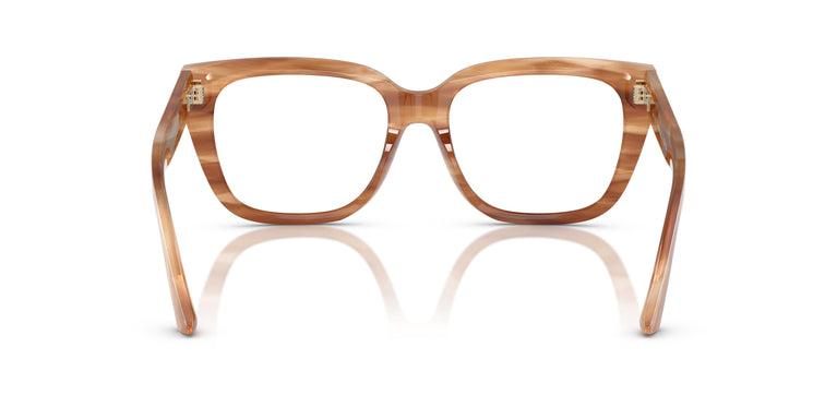 Jimmy Choo JC3019B  5055 52