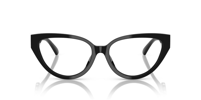 Jimmy Choo JC3023HU  5000 55
