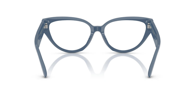 Jimmy Choo JC3023HU  5020 53