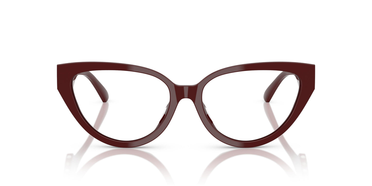 Jimmy Choo JC3023HU  5057 55