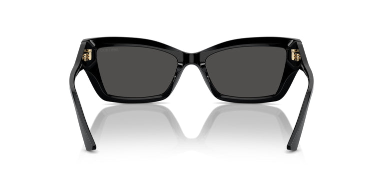 Jimmy Choo JC5011U  500087 55