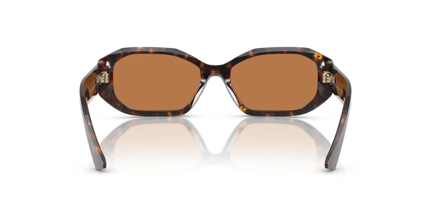 Jimmy Choo JC5021BU  500273 56