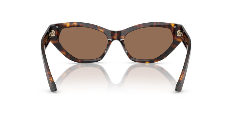 Jimmy Choo JC5022B  500273 55