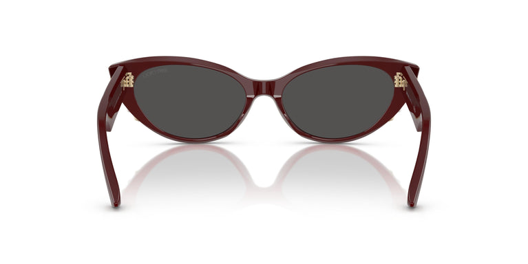 Jimmy Choo JC5023H  505787 55
