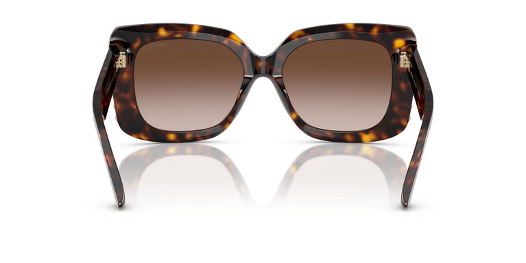 Jimmy Choo JC5025H  500213 54