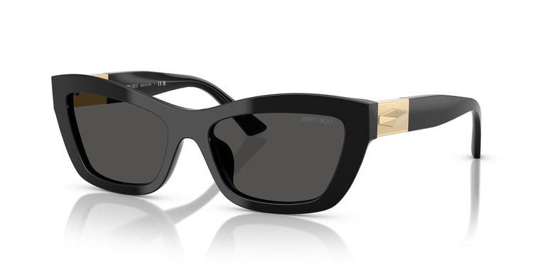 Jimmy Choo JC5030U  500087 54