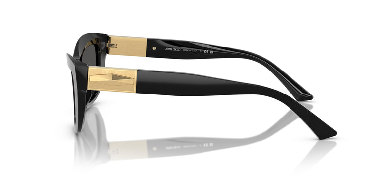 Jimmy Choo JC5030U  500087 54