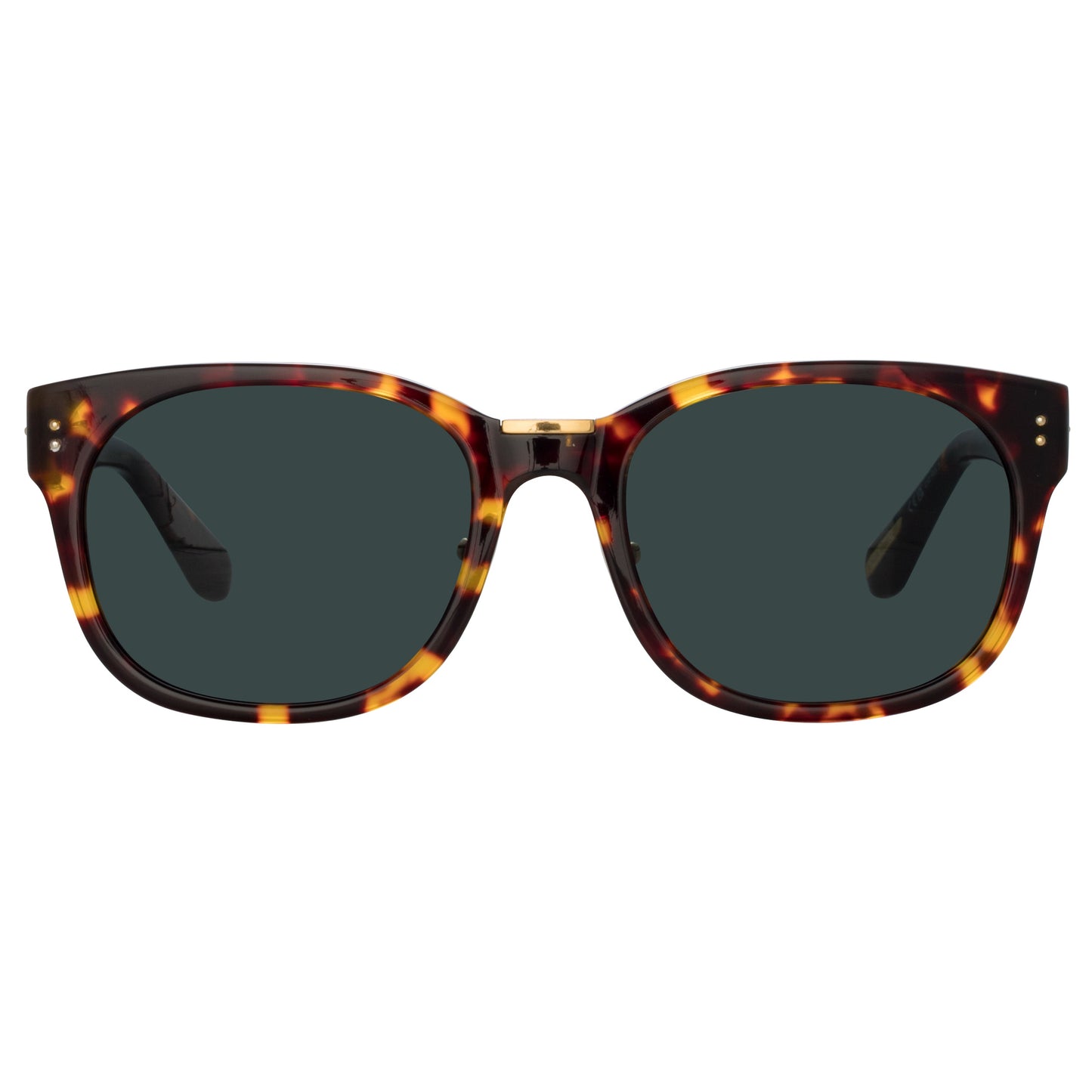 Linda Farrow Cedric A Rectangular Sunglasses in Tortoiseshell AC 50