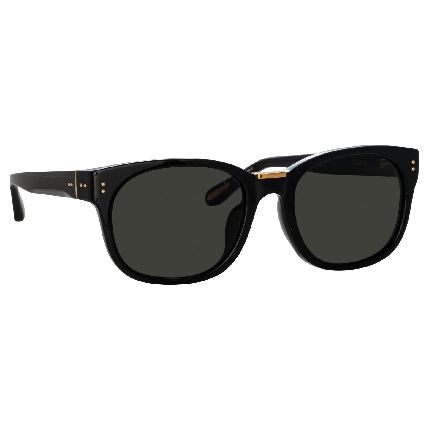Linda Farrow Cedric Rectangular Sunglasses in Black and Grey C4 50