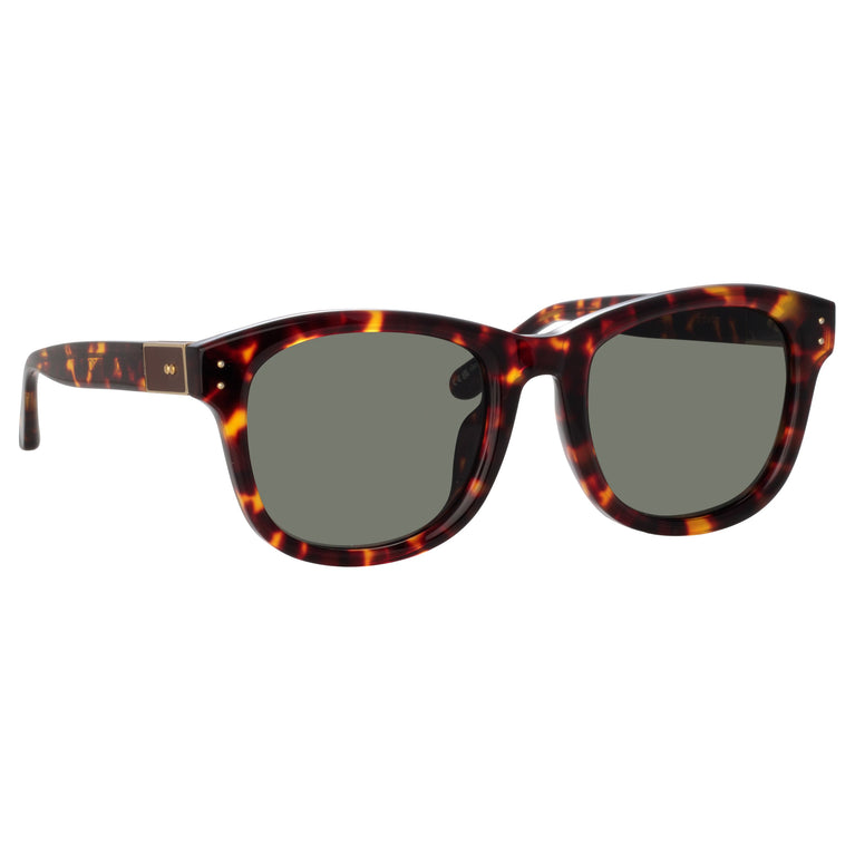 Linda Farrow Edson D-Frame Sunglasses in Tortoiseshell C5 55