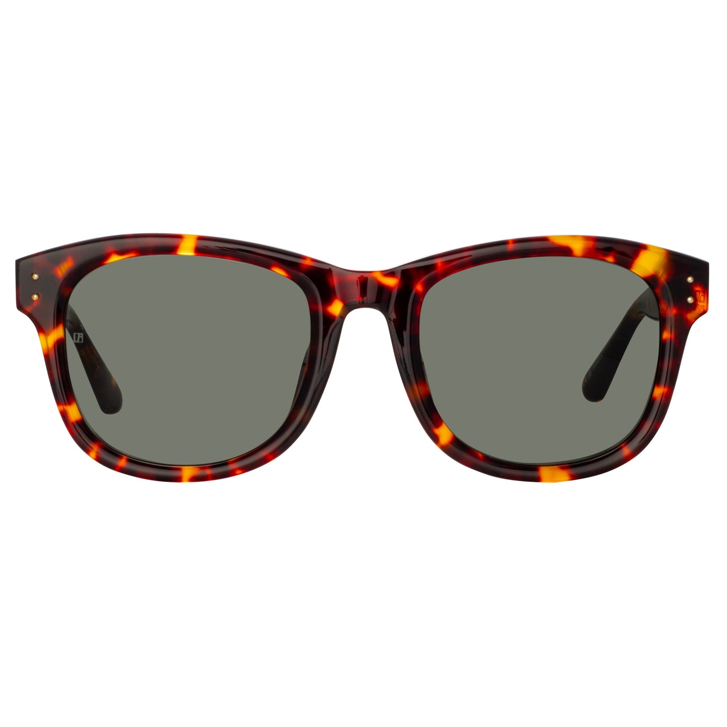 Linda Farrow Edson D-Frame Sunglasses in Tortoiseshell C5 55