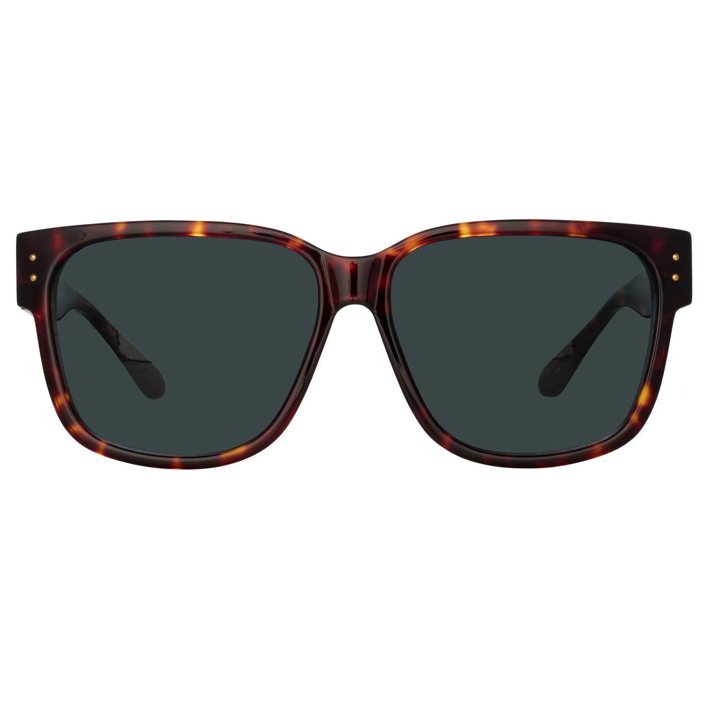 Linda Farrow Perry D-Frame Sunglasses in Tortoiseshell C2 61