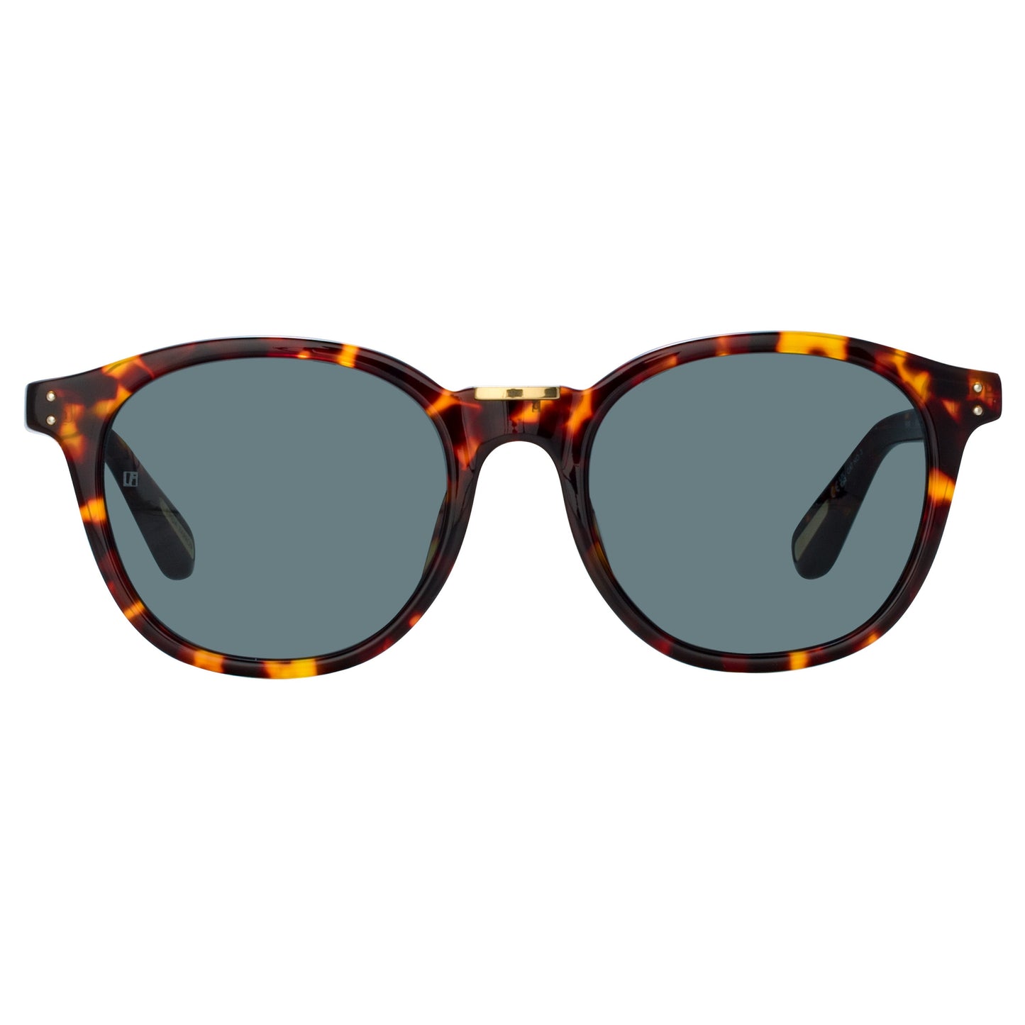 Linda Farrow Men's Powell D-Frame Sunglasses in Tortoiseshell C5 51