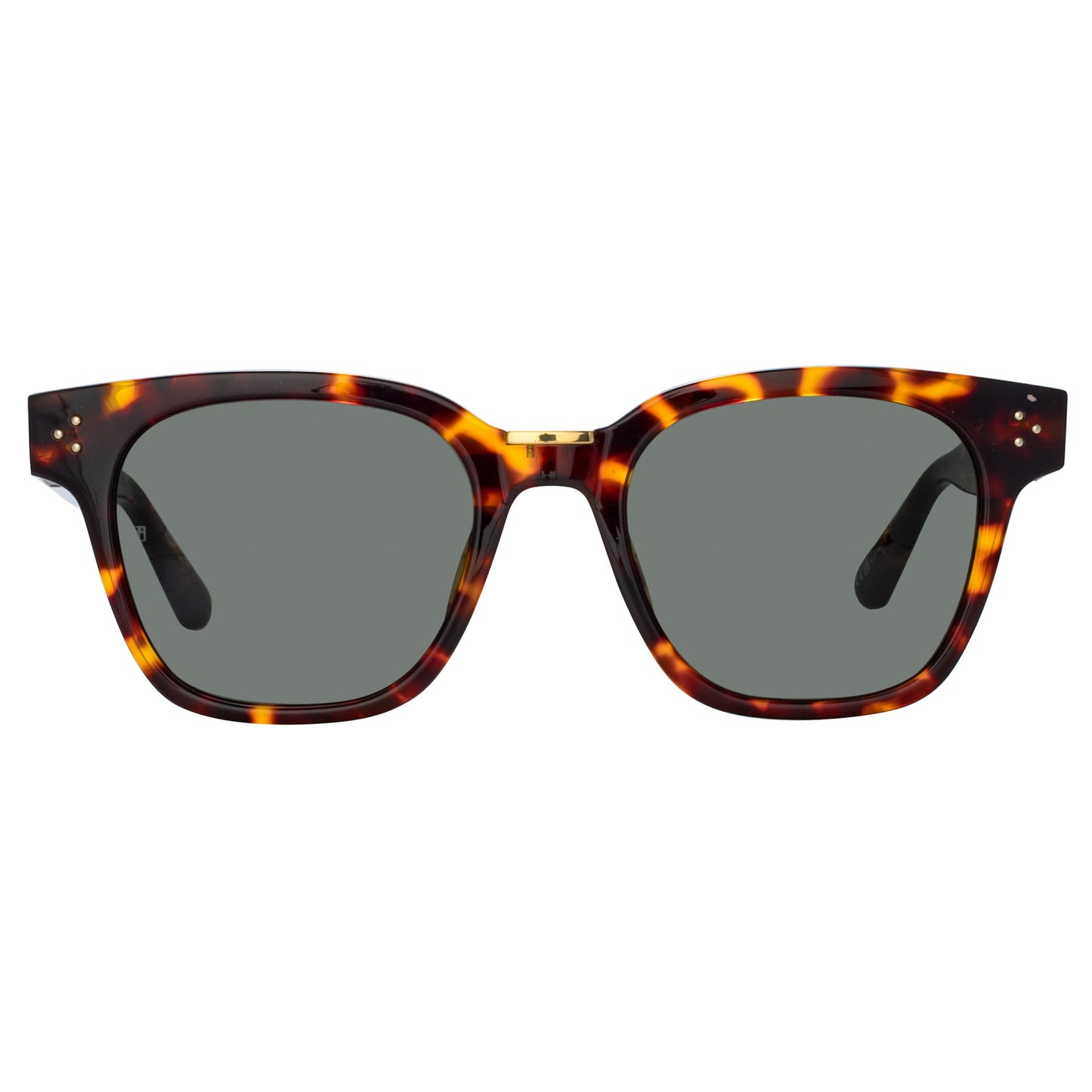 Linda Farrow Men's Sanchez D-Frame Sunglasses in Tortoiseshell C5 52
