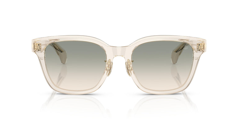 Moncler ME6002D METROPE 30032C 54