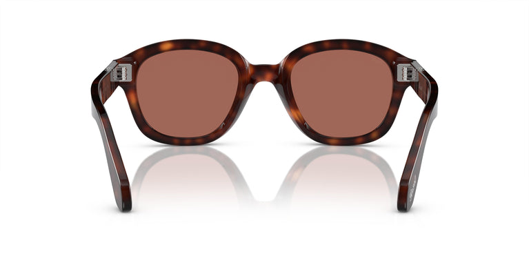 Persol PO0060S 24/H2 52