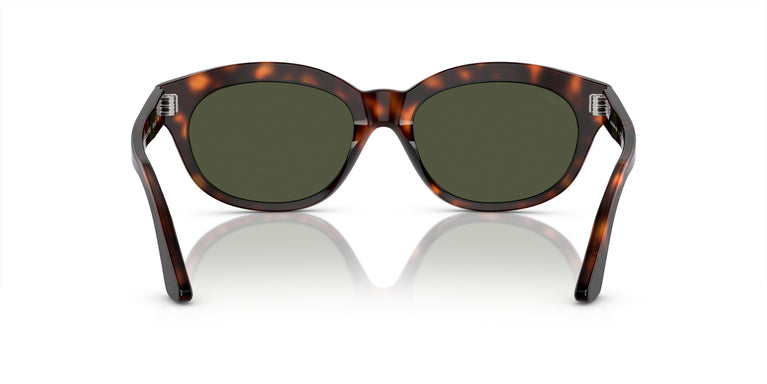 Persol PO3250S  24/31 55