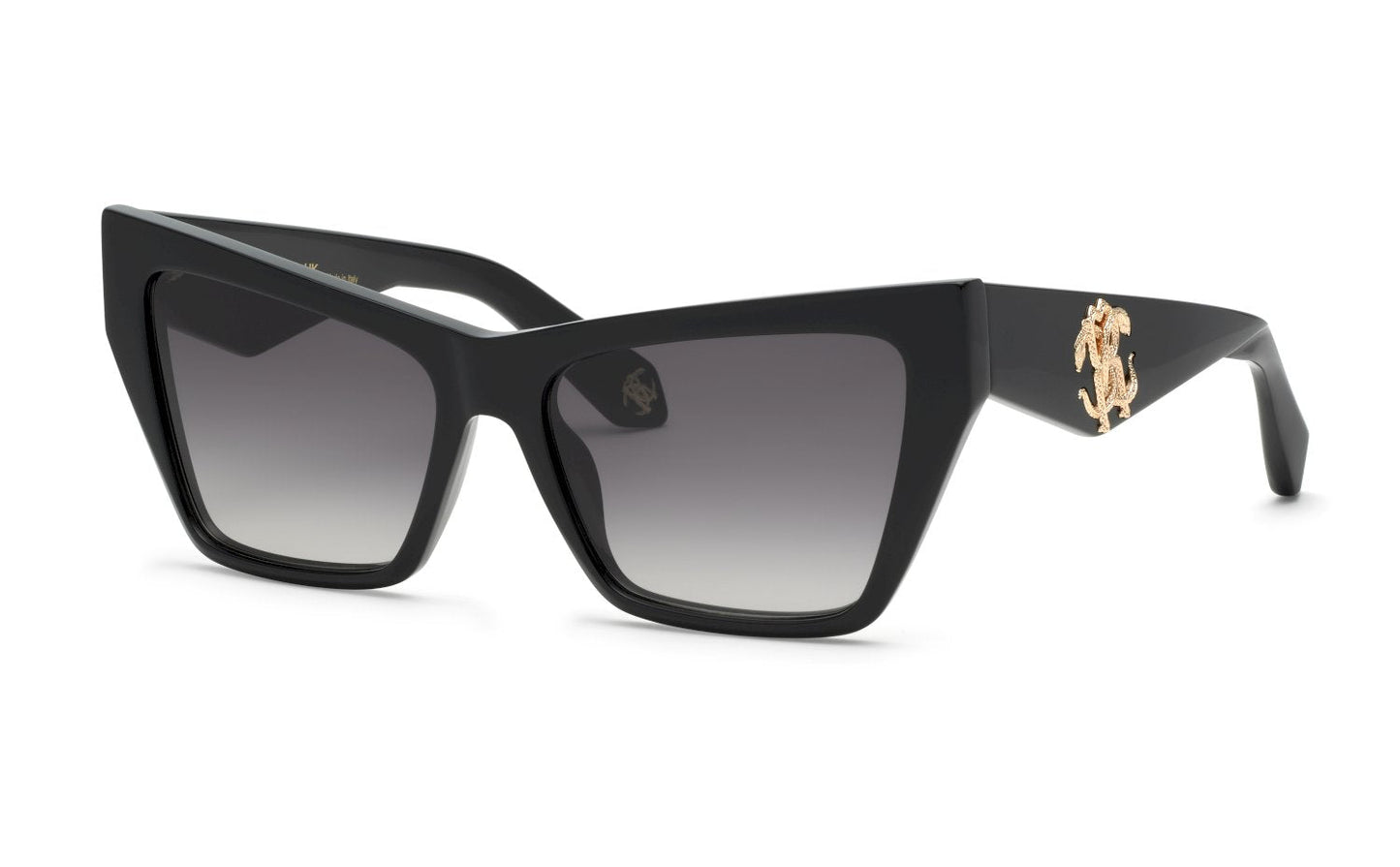 Roberto Cavalli SRC114 0700 58