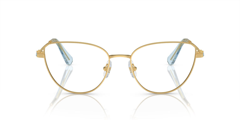 Swarovski SK1007  4021 53