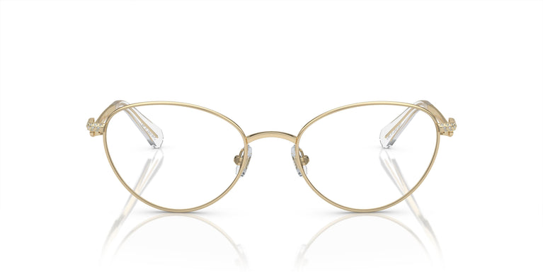 Swarovski SK1002  4004 53