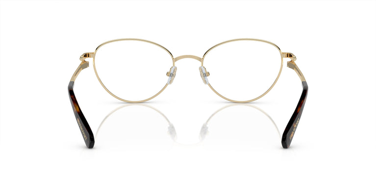 Swarovski SK1002  4013 51