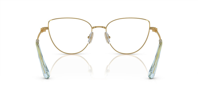 Swarovski SK1007  4021 53