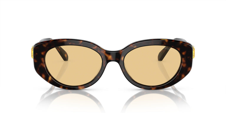 Swarovski SK6002  1002/8 53
