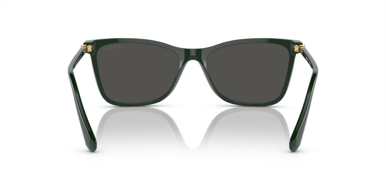 Swarovski SK6004  102687 55