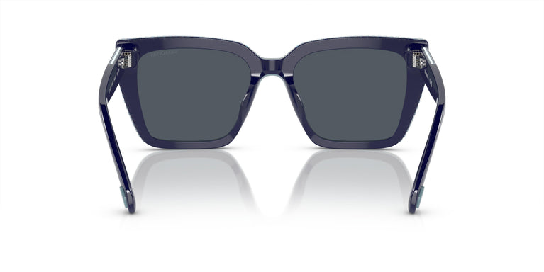 Swarovski SK6013  101887 54