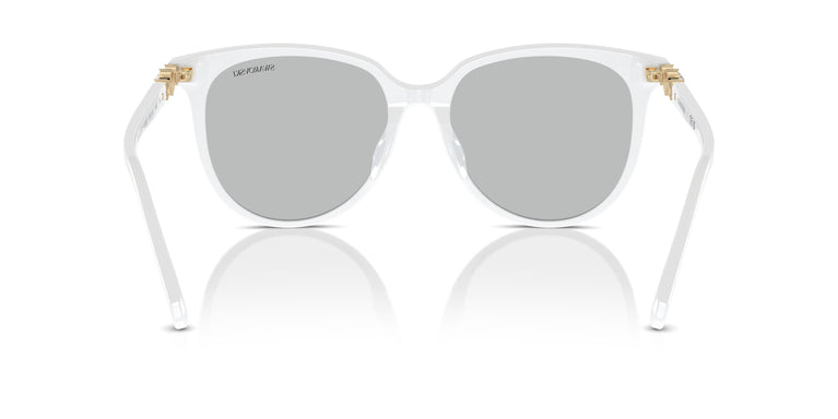 Swarovski SK6023D 103387 56