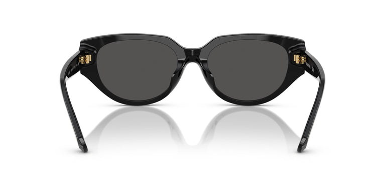 Swarovski SK6035D  100187 54